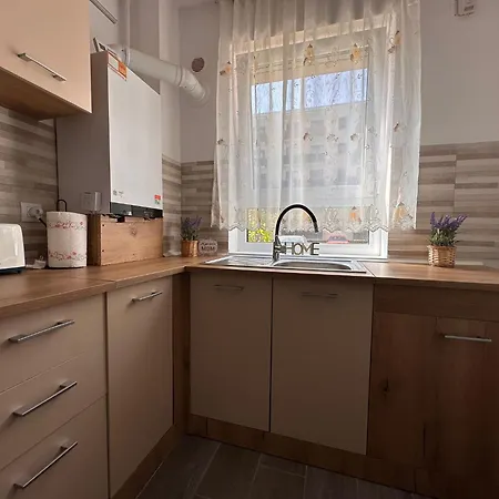 Apartmán Alex Brašov